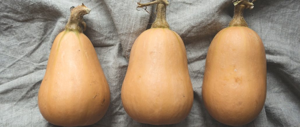 Så hittar du guldkornen bland lokalproducerade varor i matbutiken illustration