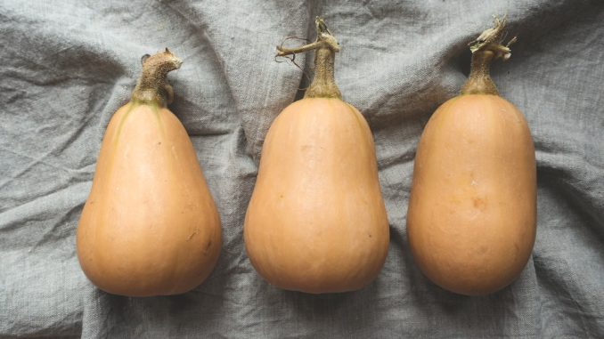 Så hittar du guldkornen bland lokalproducerade varor i matbutiken illustration