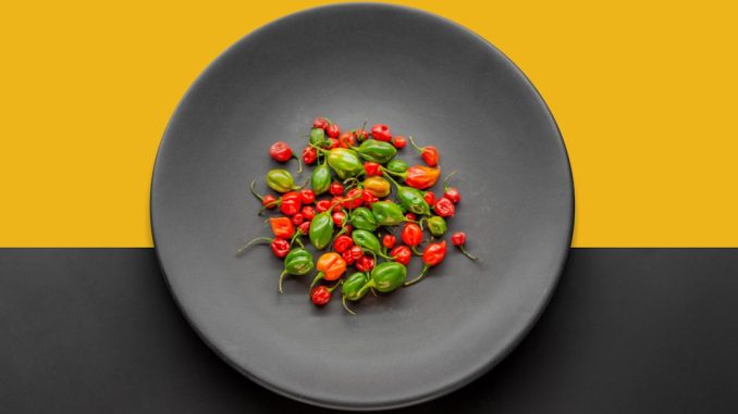 Veganska alternativ till klassiska svenska rätter illustration
